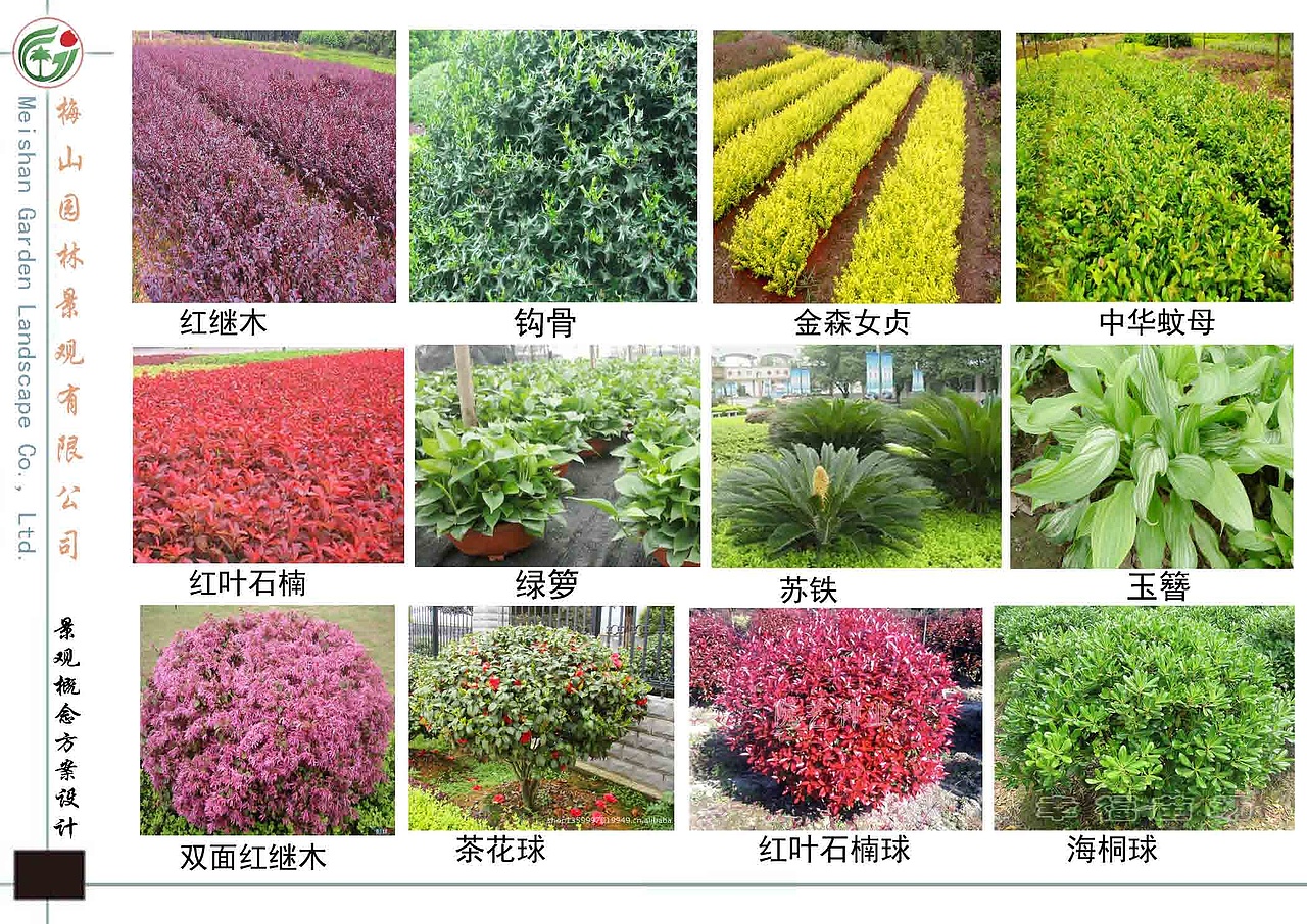 冷水江公安局（图ZNDc2Nzk5MjA=） - 景观设计 - 站酷设计师畅美园林原创素材 - 站酷ZCOOL