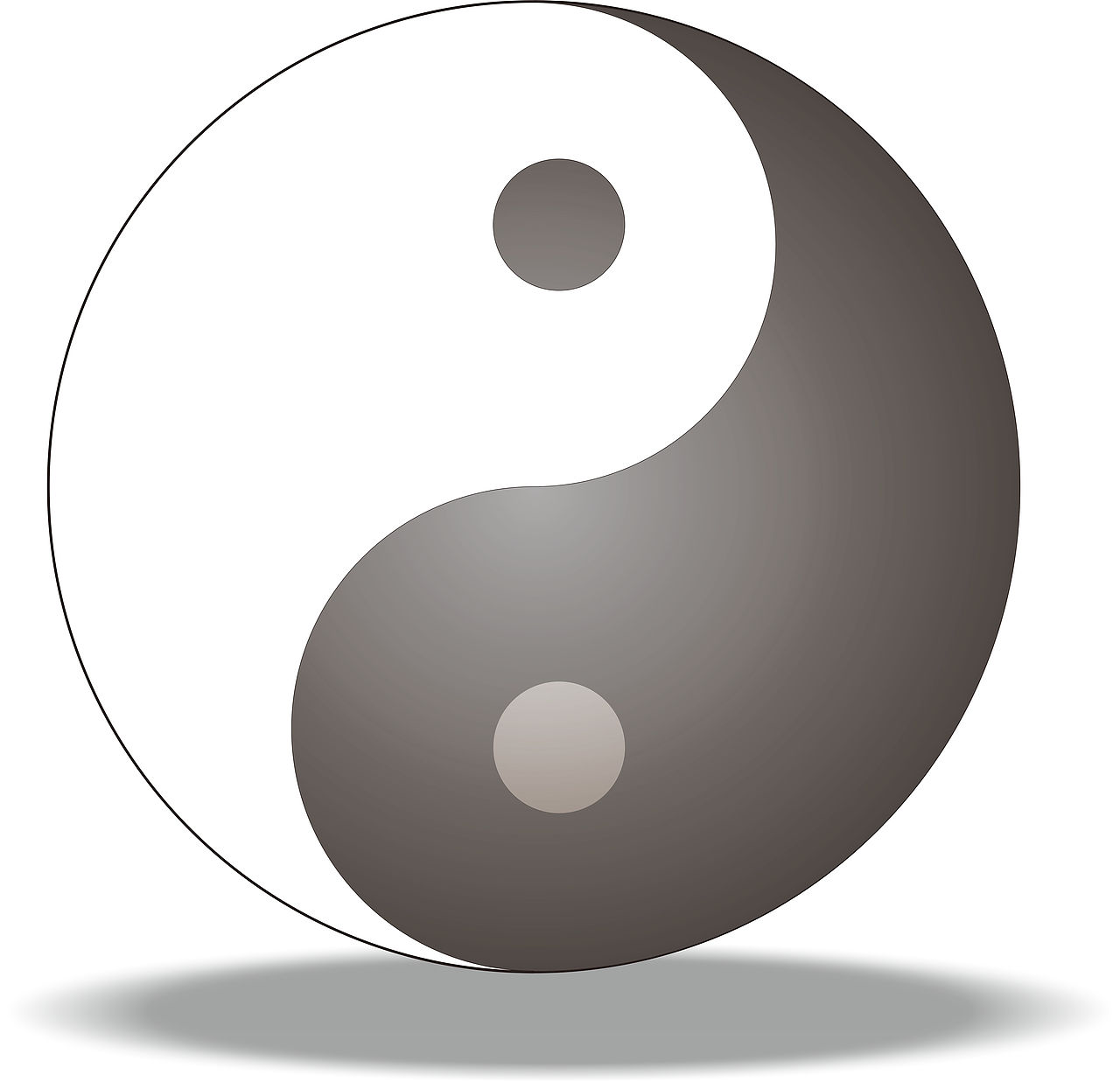 太极|平面|图案|白熊犬_原创作品-站酷zcool