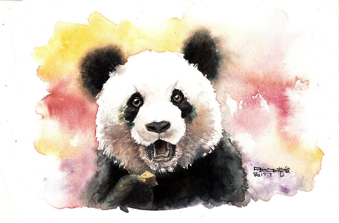 熊猫水彩【奥利奥】绘制视频