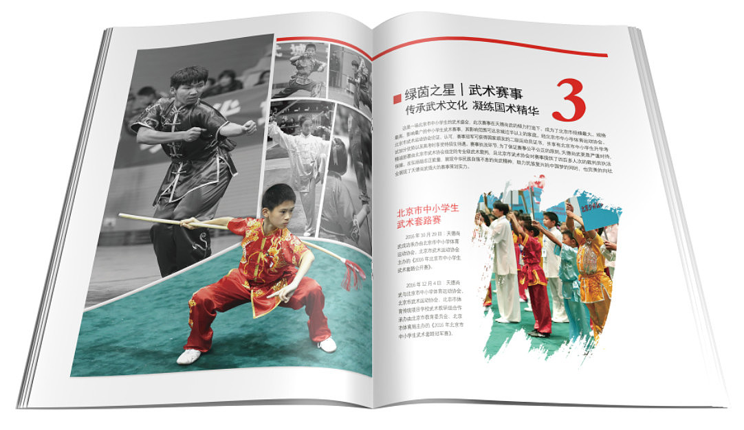 体育公司宣传画册