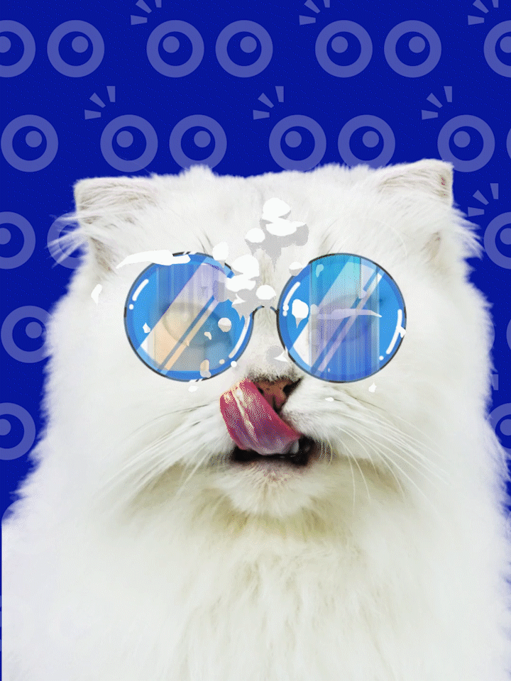 珀珀宠影之猫粮视频（图ZMjgxNTkwMzEy） - 短片 - 站酷设计师珀珀视觉原创素材 - 站酷ZCOOL