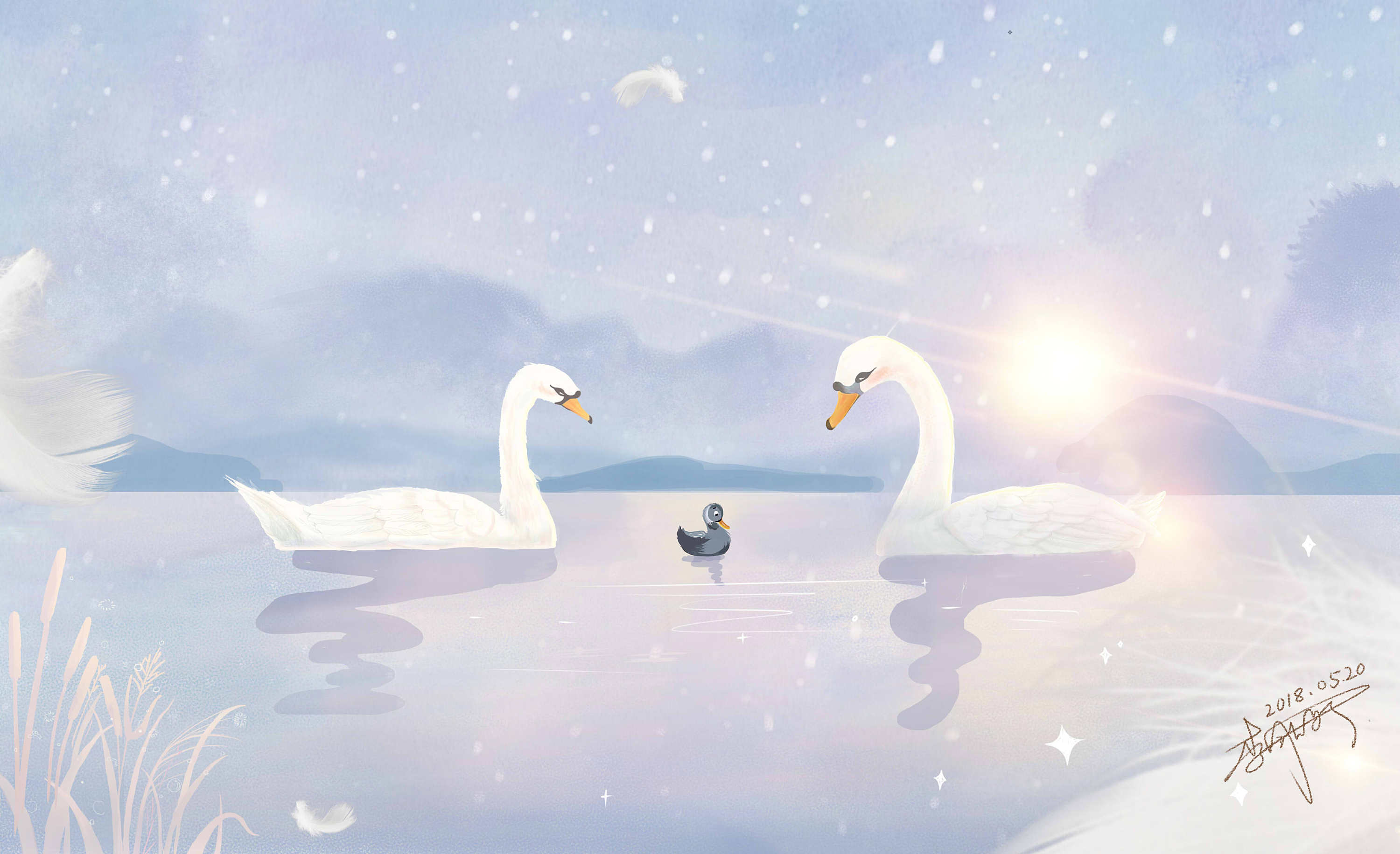 天鹅|插画|插画习作|贝雅秋子 - 原创作品 - 站酷 (zcool)