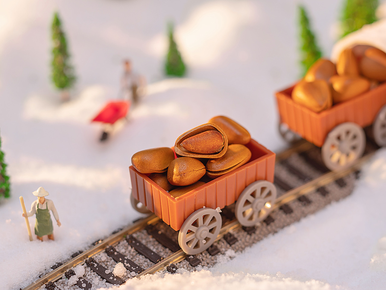 微景观创意拍摄