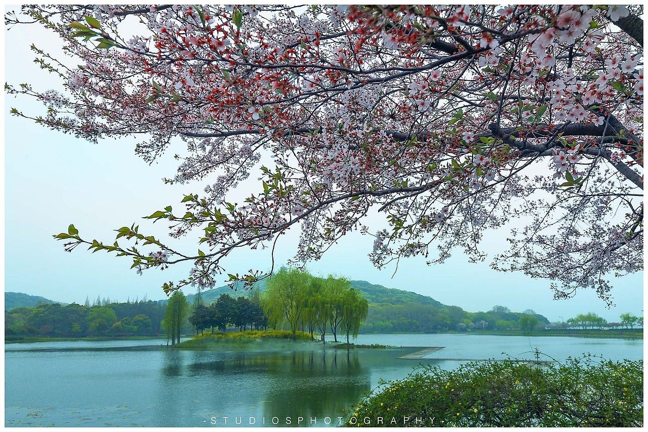 花見無錫。
