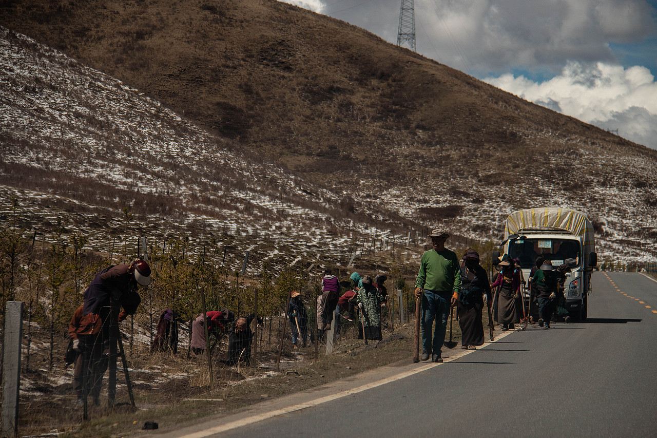人文风光丨甘南之旅