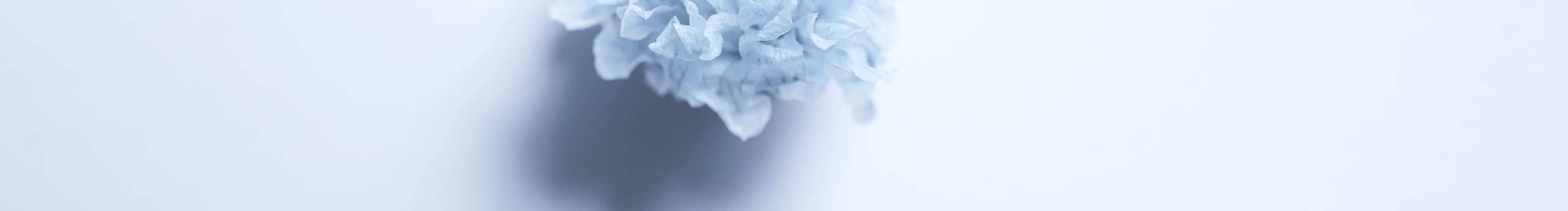 知了声声叫夏天的个人主页（封面预览） - 主页封面设置 - 站酷设计师知了声声叫夏天原创素材 - 站酷ZCOOL