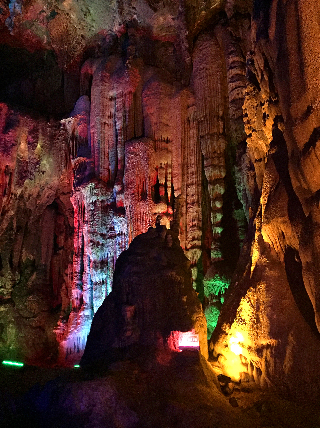 广州-春暖花开 茶花 夕阳无限好!