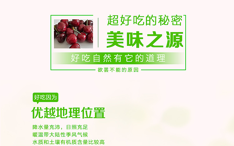 一下午搞定的樱桃详情页设计（图ZNzY5NjQ4NTY=） - 电商 - 站酷设计师SugarNO1原创素材 - 站酷ZCOOL