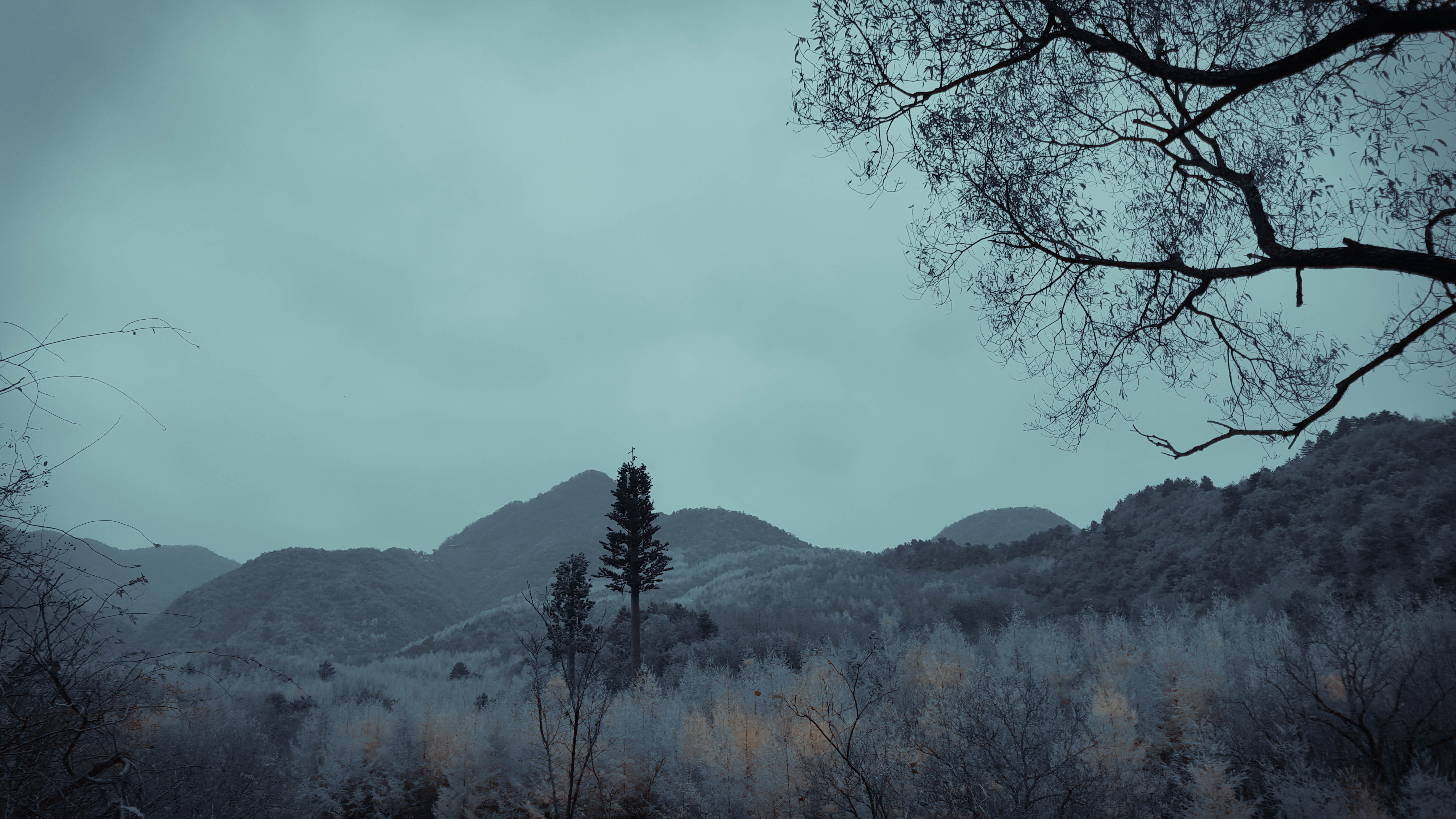 The才子俊的個人主頁（封面預(yù)覽） - 主頁封面設(shè)置 - 站酷設(shè)計師The才子俊原創(chuàng)素材 - 站酷ZCOOL