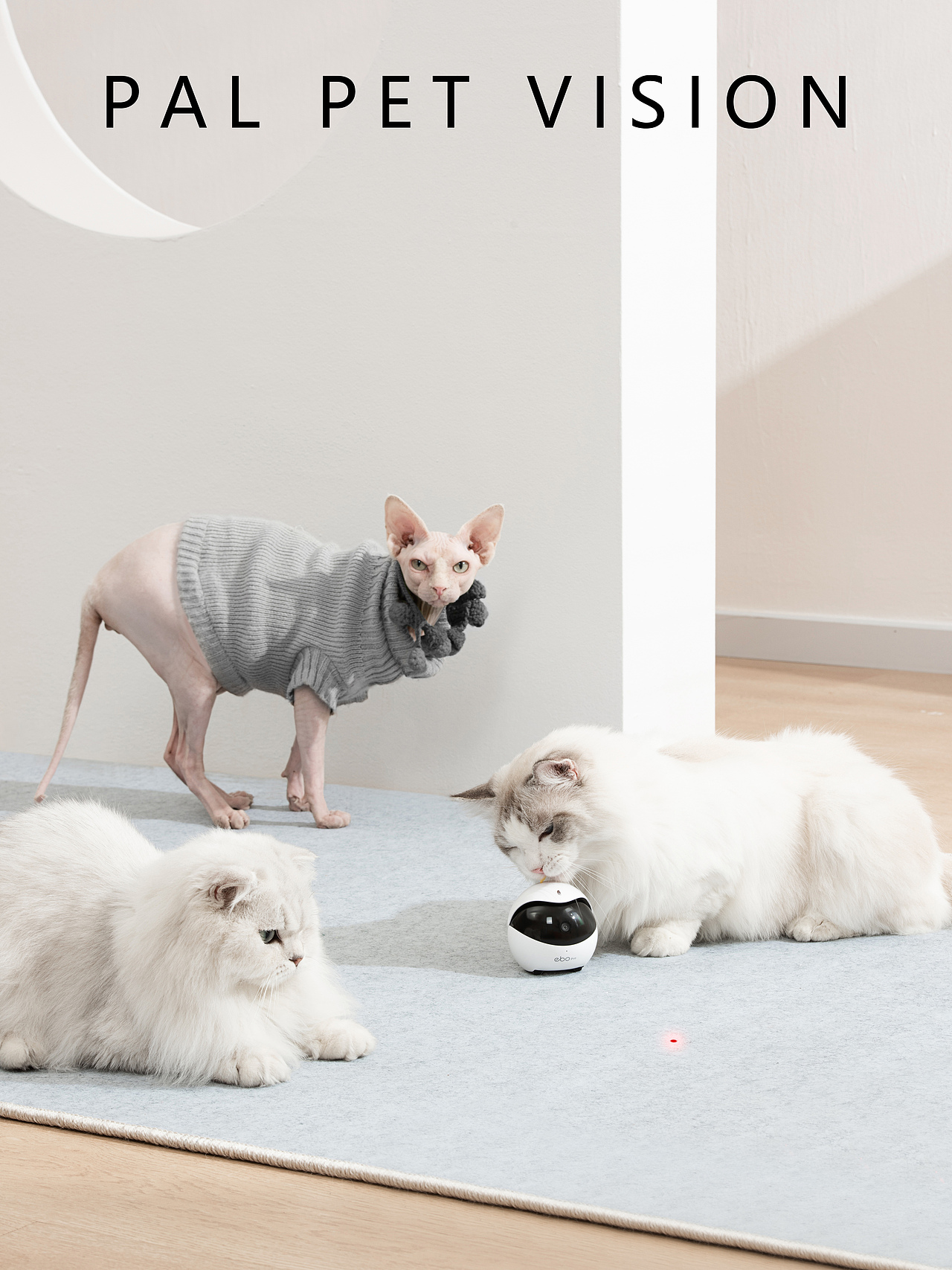 一组全自动猫厕所和其他宠物用品拍摄/珀珀宠影出品（图ZMjQ0MTExMzY4） - 产品摄影 - 站酷设计师珀珀视觉原创素材 - 站酷ZCOOL