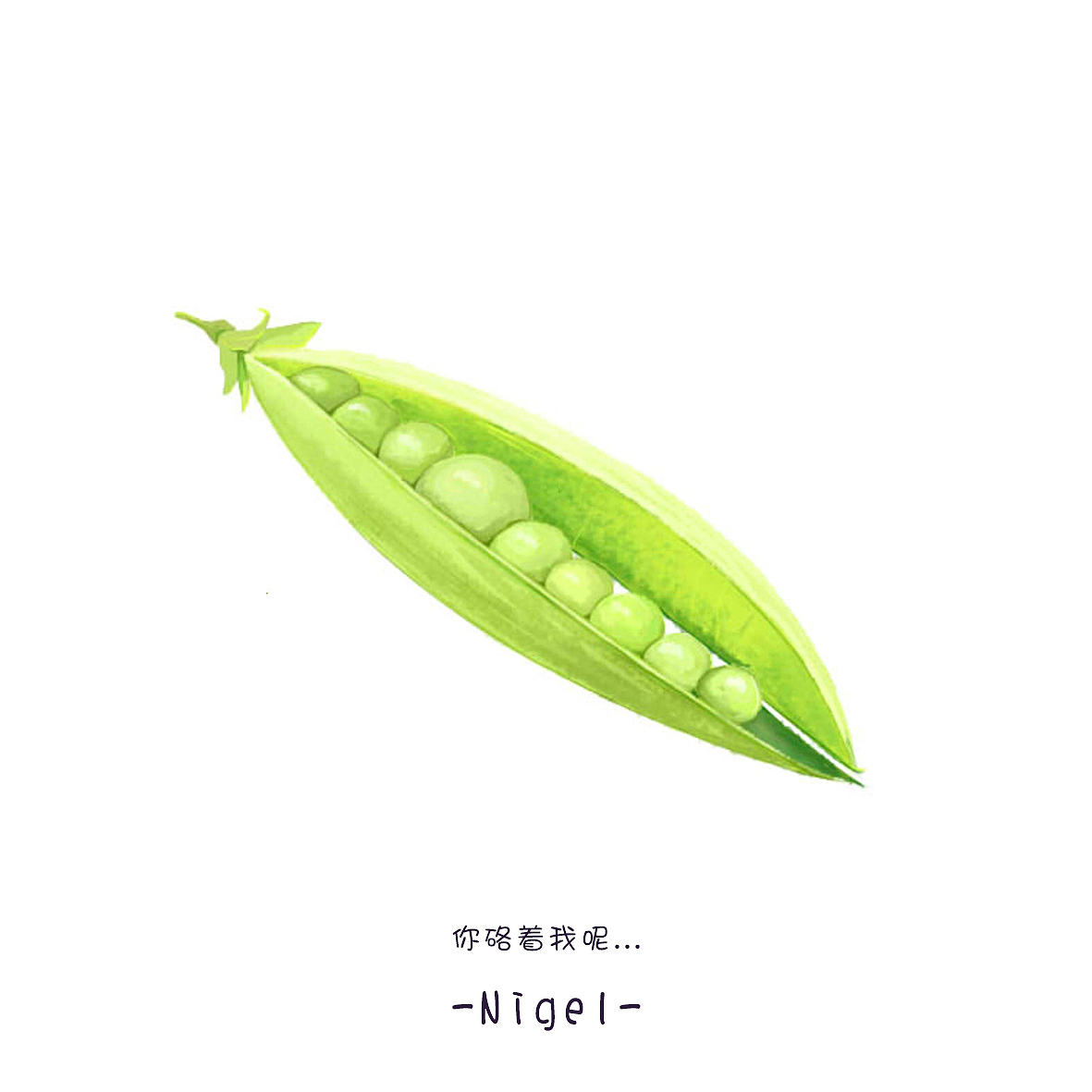 “和蔬菜水果谈恋爱”（图ZNDc5MDgzMzY=） - 商业插画 - 站酷设计师Nigel亲爱的人原创素材 - 站酷ZCOOL