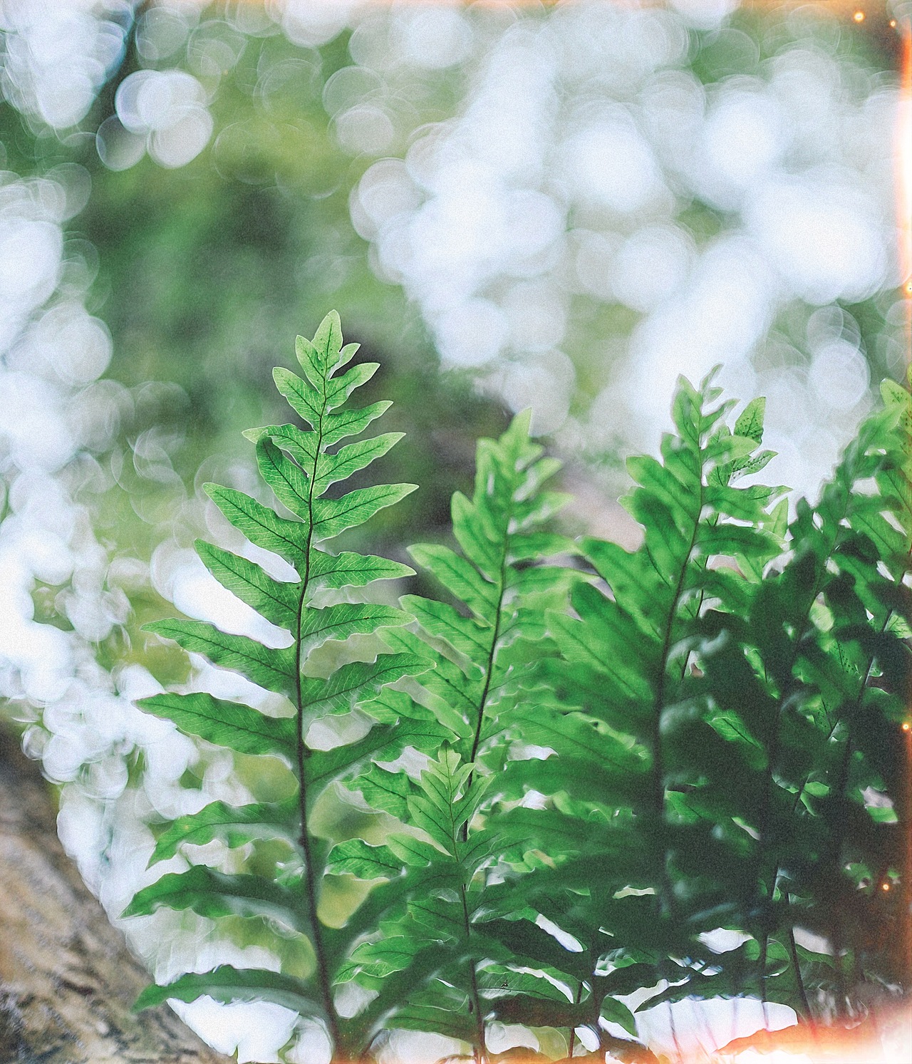 生活处处是美好 ​​​（图ZMTQ4OTY4NDIw） - 产品摄影 - 站酷设计师小正兔子原创素材 - 站酷ZCOOL