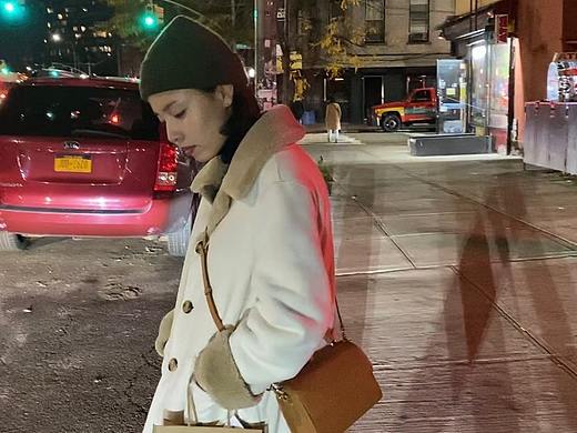 开在石头缝里的花