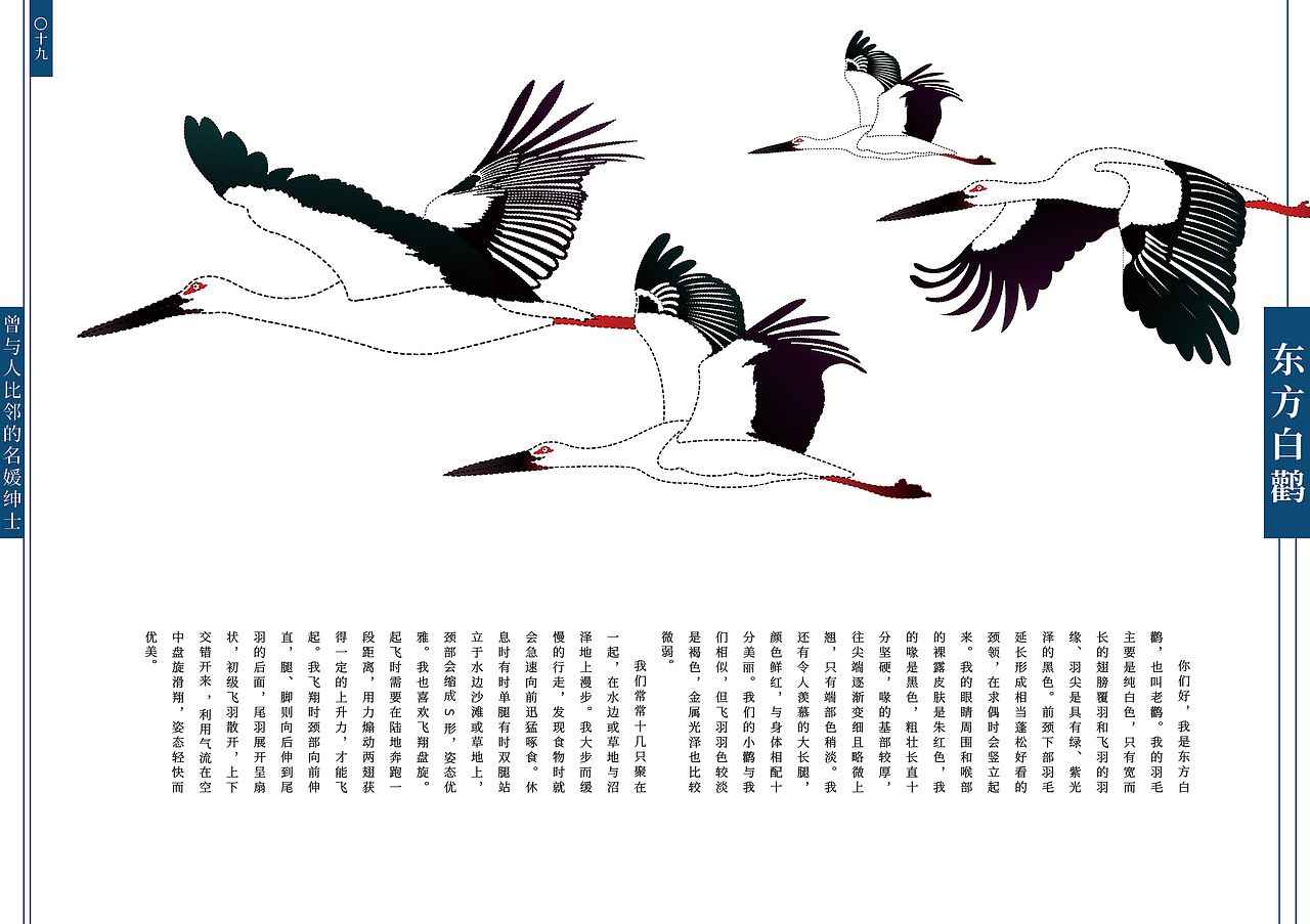 《假如我们会说话》70种中国珍贵野生动物书籍设计·二