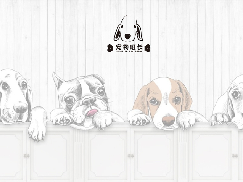 宠物店——贝林顿梗犬