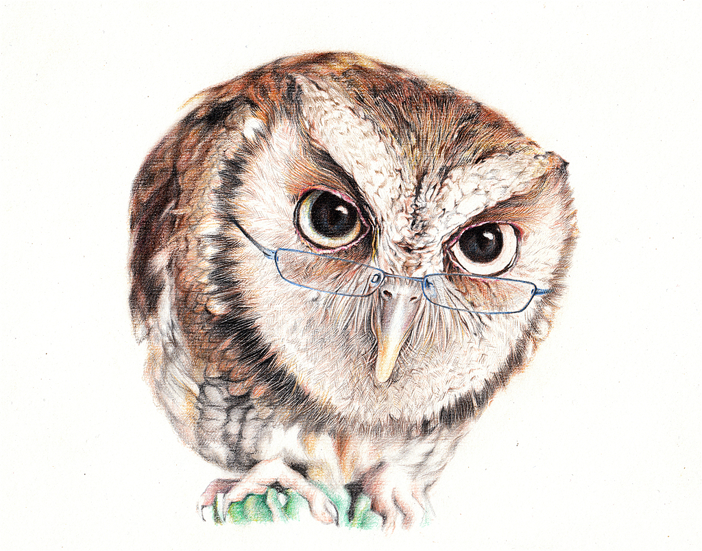 纸上彩铅-《福鸟花鸮》绘制过程（图ZMjcxNzMyMTI=） - 绘画 - 站酷设计师超超的青葱原创素材 - 站酷ZCOOL