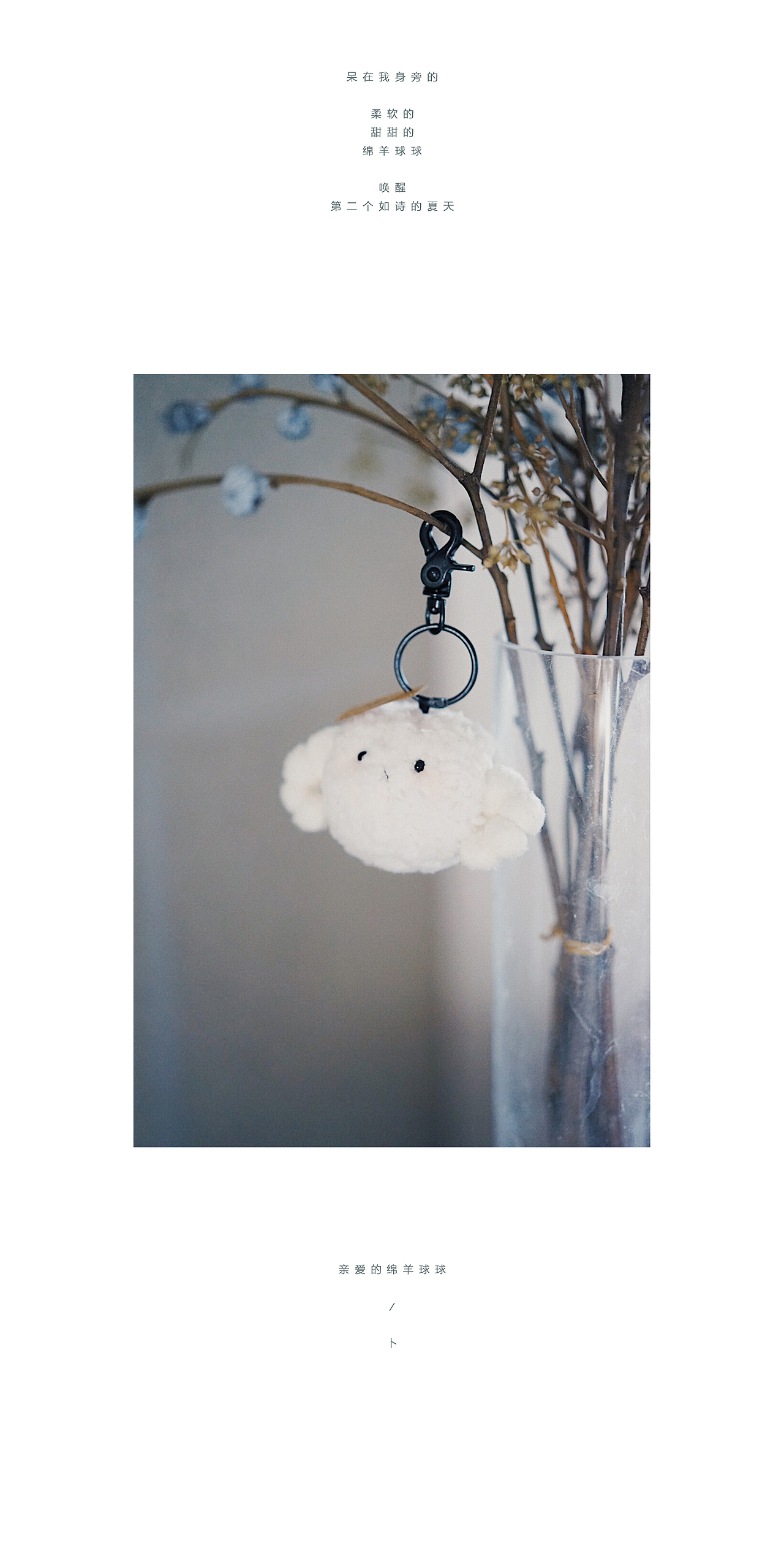 亲爱的布偶 / 第二个夏天