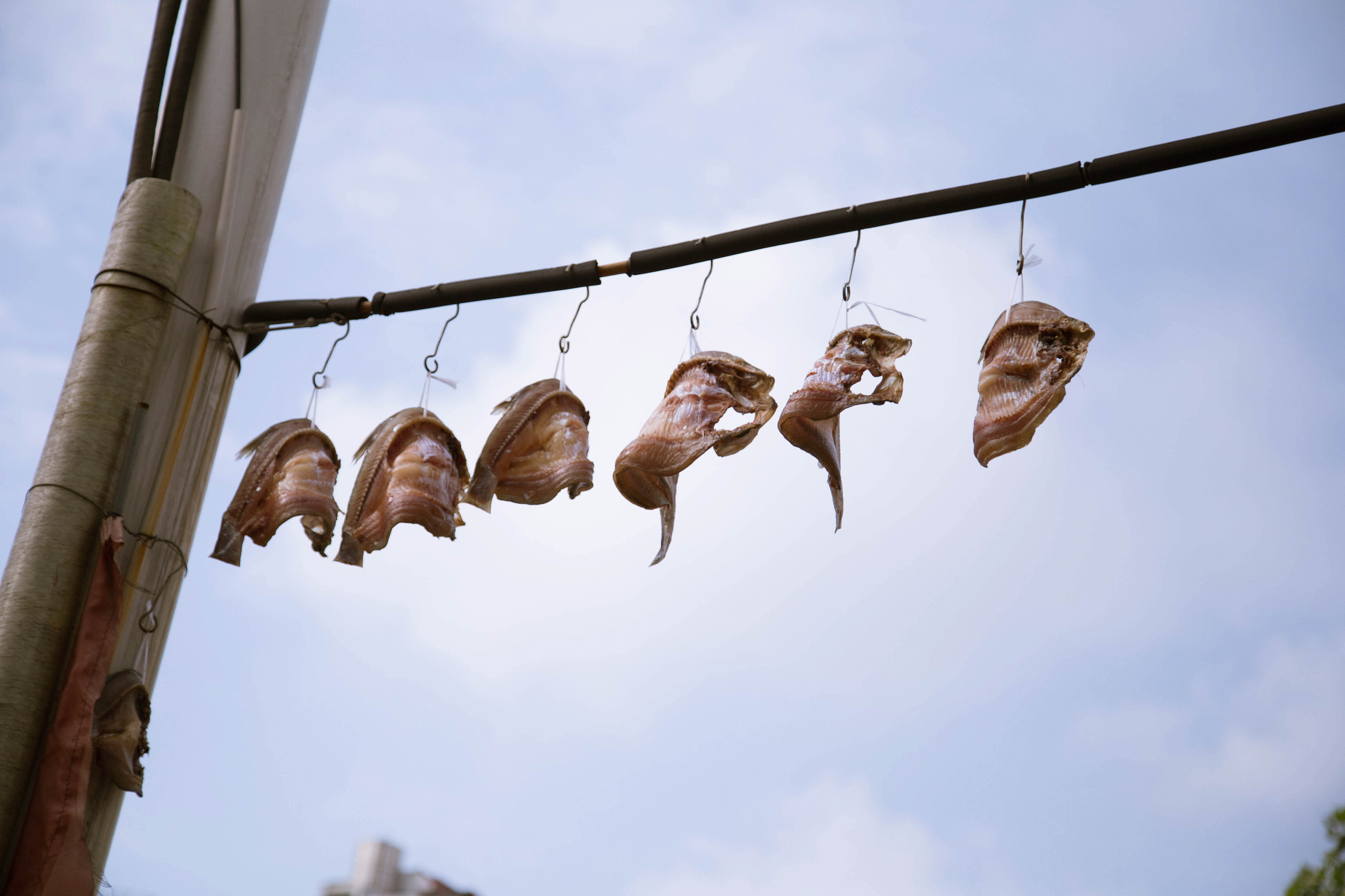 开心的像一排咸鱼