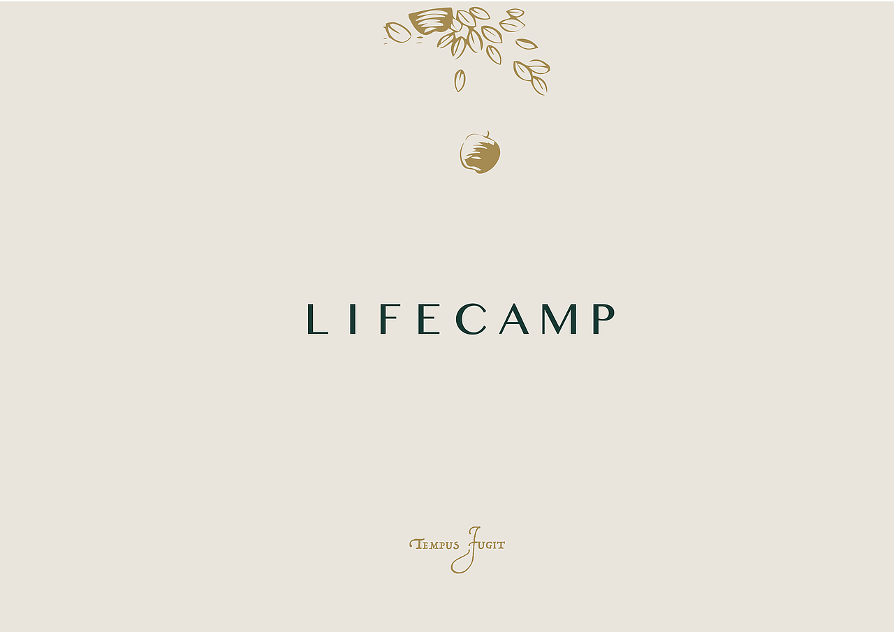 LIFECAMP | 生活教育营地