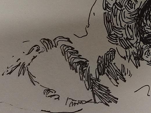 巢（个人主页-ZNDE3NzUyMjQ=） - 创作习作 - 站酷设计师站zmy酷原创素材 - 站酷ZCOOL