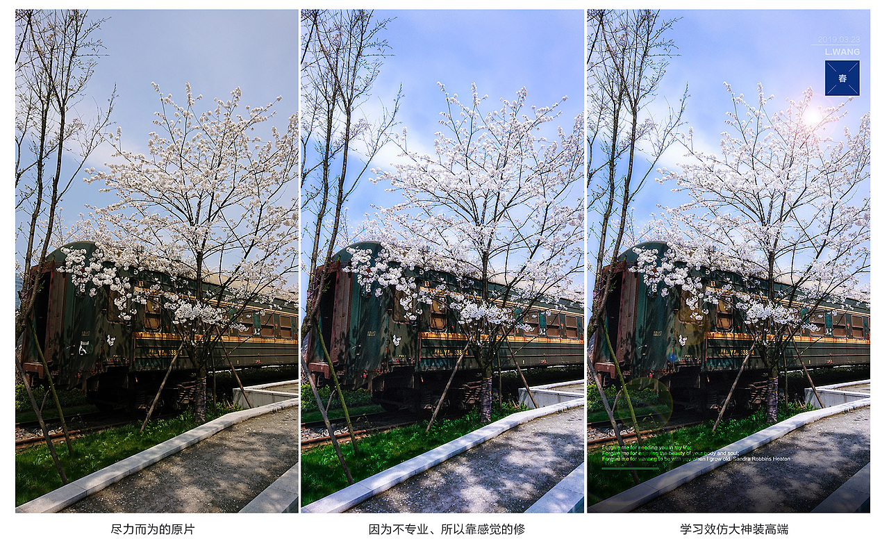 休闲养身学摄影【编号0001】