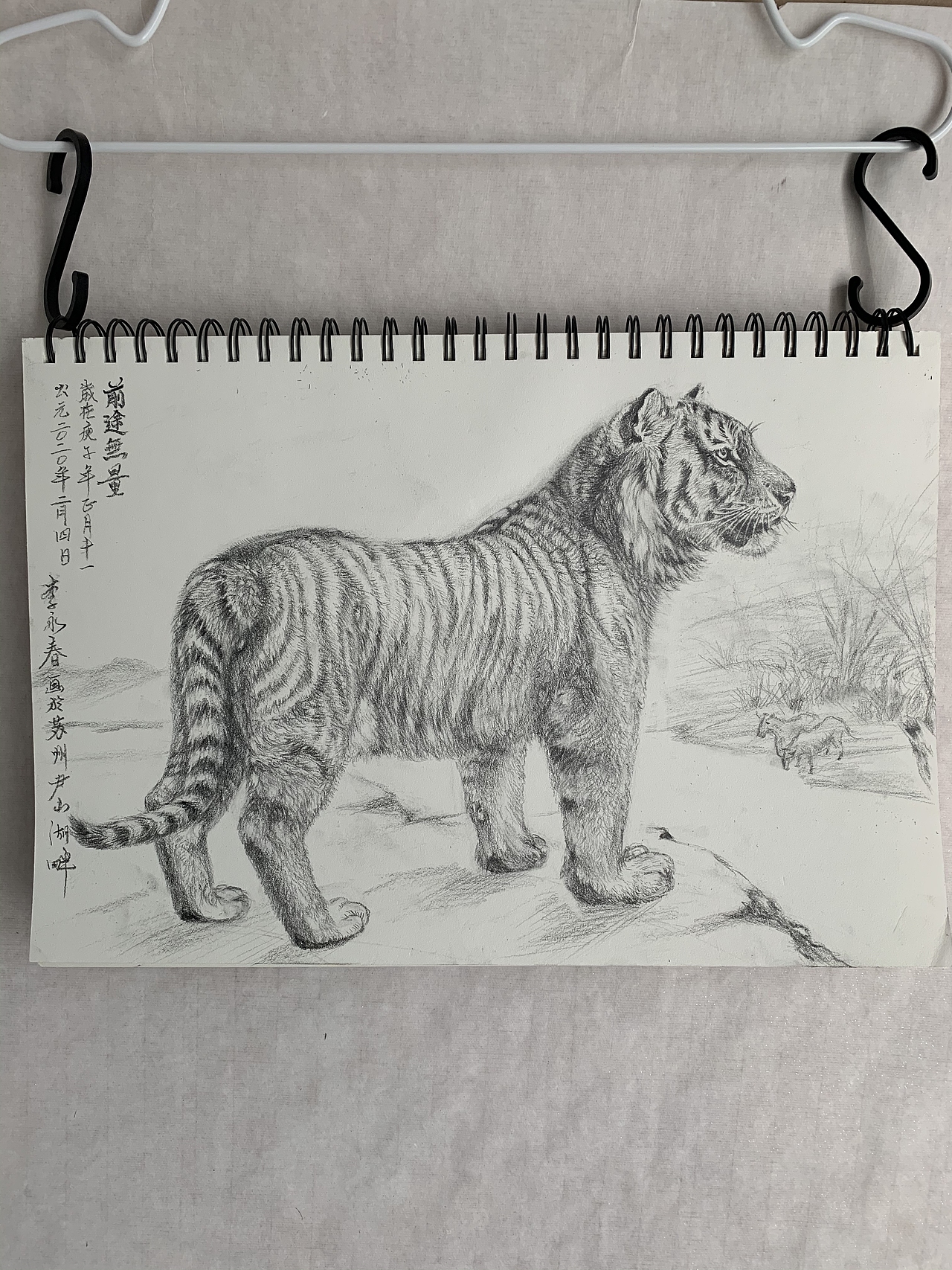 分享收藏数雕蝈蝈数雕蝈蝈素描德牧素描牛牛牛年画牛妙手大哥画小老虎