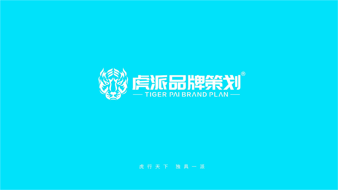 湖南艾裕·脉声电商包装设计