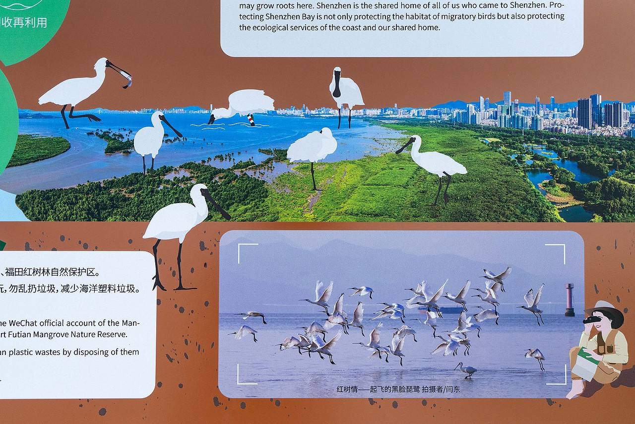 深圳湾公园湿地主题解说牌