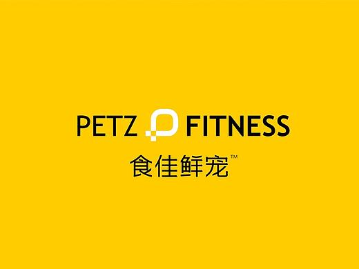 食佳鲜宠 品牌定位设计及产品包装设计