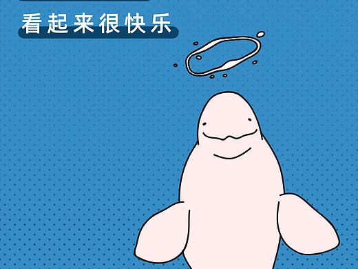 那些快乐背后的事情—动物表演真相