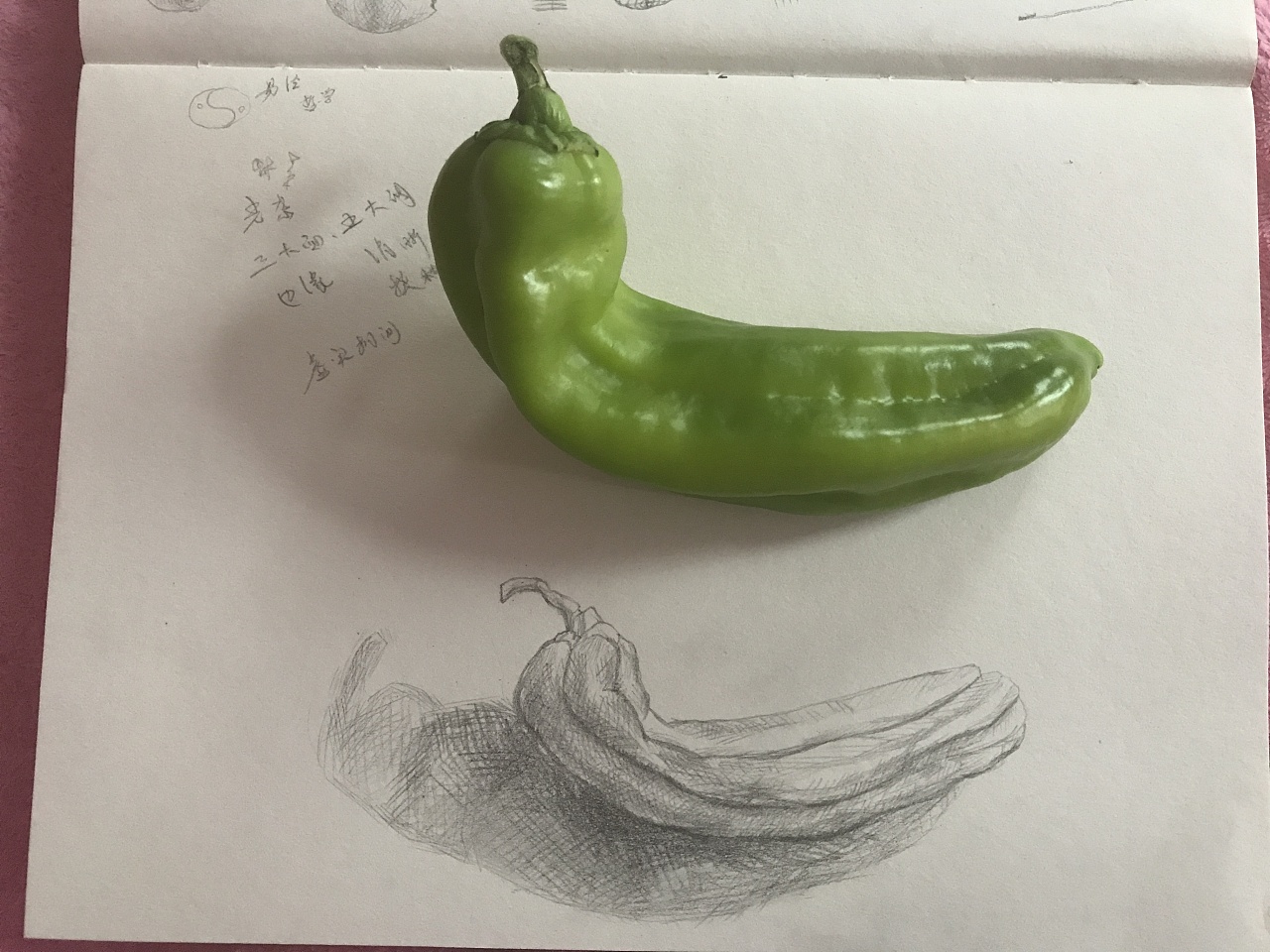素描手绘 / 青椒