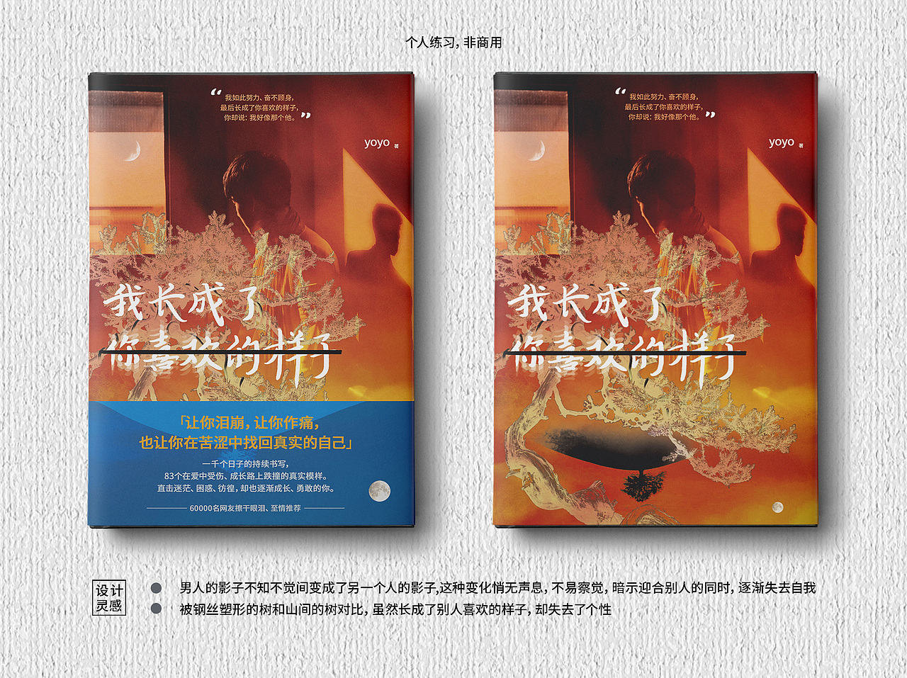 书籍封面练习