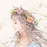 金禾的头像