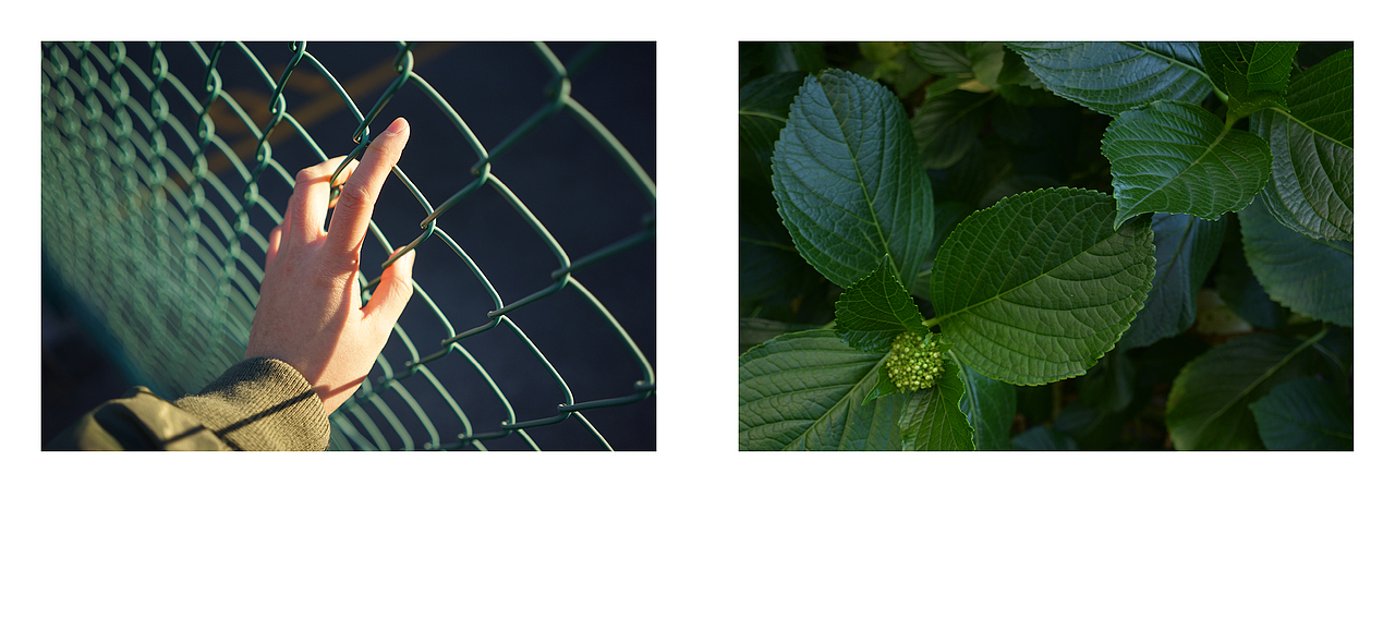 《i Hope》主题摄影作品（图ZMjUwODA0MTIw） - 其他摄影 - 站酷设计师sun_mooon原创素材 - 站酷ZCOOL