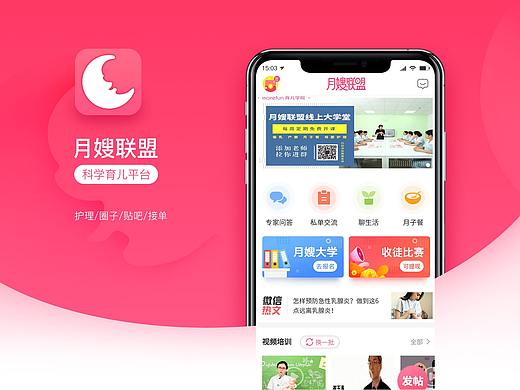 作品总结