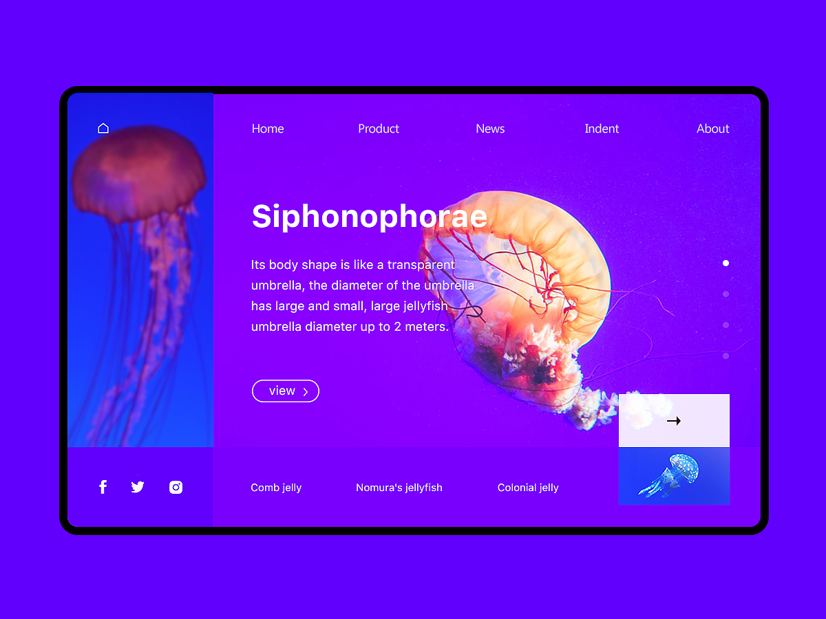 概念练习（图ZMTk3NTUzMTE2） - APP界面 - 站酷设计师三点水心原创素材 - 站酷ZCOOL