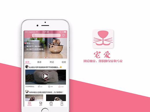 宠爱~宠物APP设计