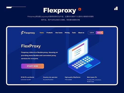 Flexproxy网站设计