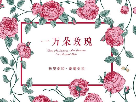 卡片