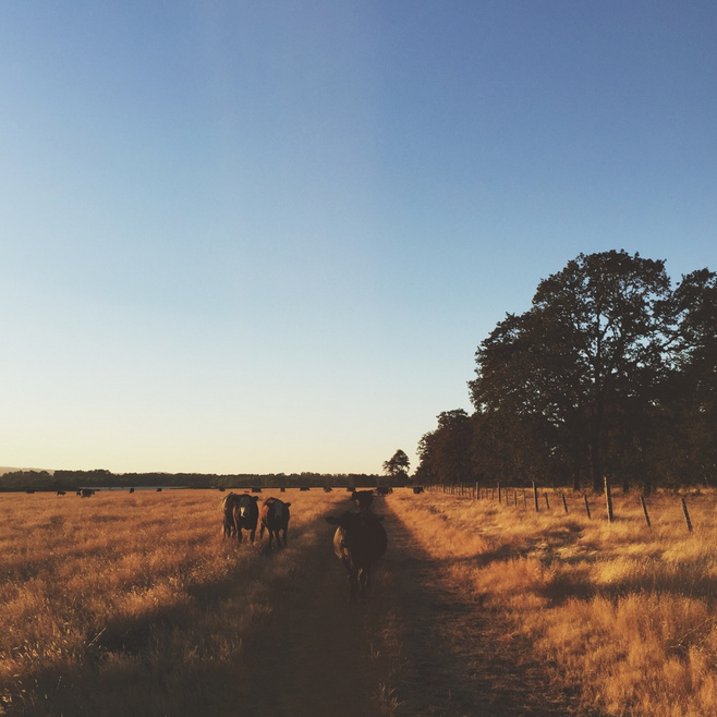 sweet_巧克力的个人主页（封面预览） - 主页封面设置 - 站酷设计师sweet_巧克力原创素材 - 站酷ZCOOL