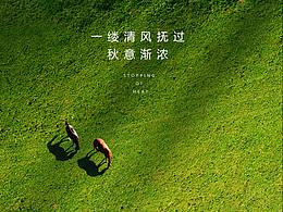 微信