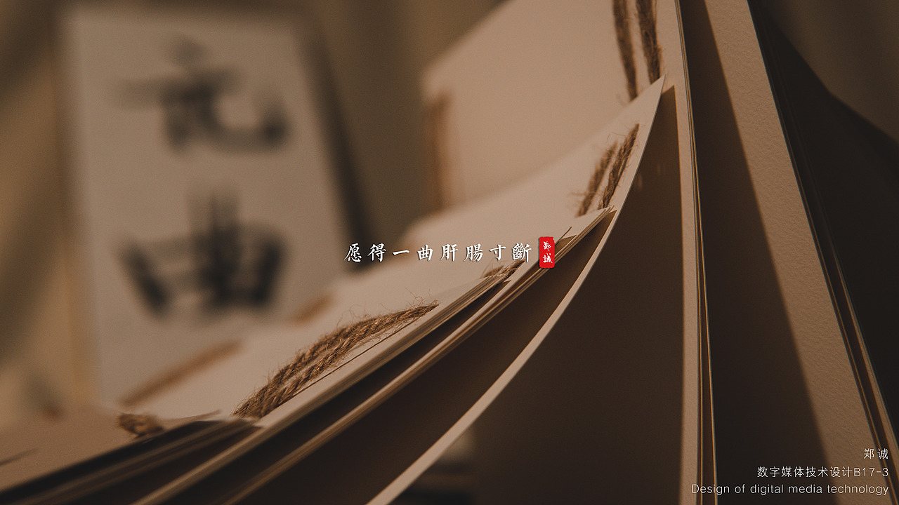 《愿得一曲肝肠寸断》书籍装帧设计摄影 —— 龙鳞装（图ZMTk0NzM0NTEy） - 书籍/画册 - 站酷设计师杰尼老大原创素材 - 站酷ZCOOL