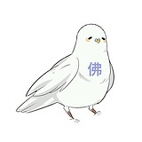 文X三的头像