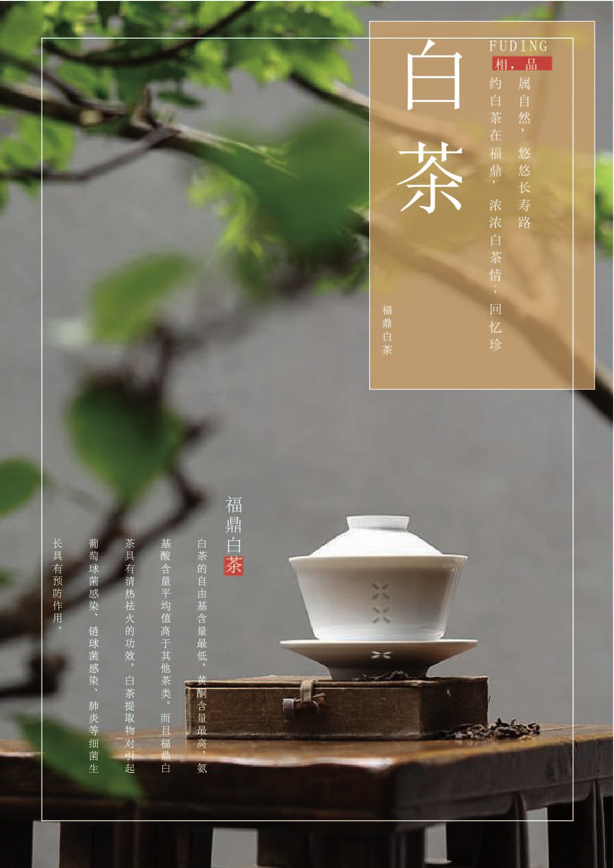 福鼎白茶海报设计