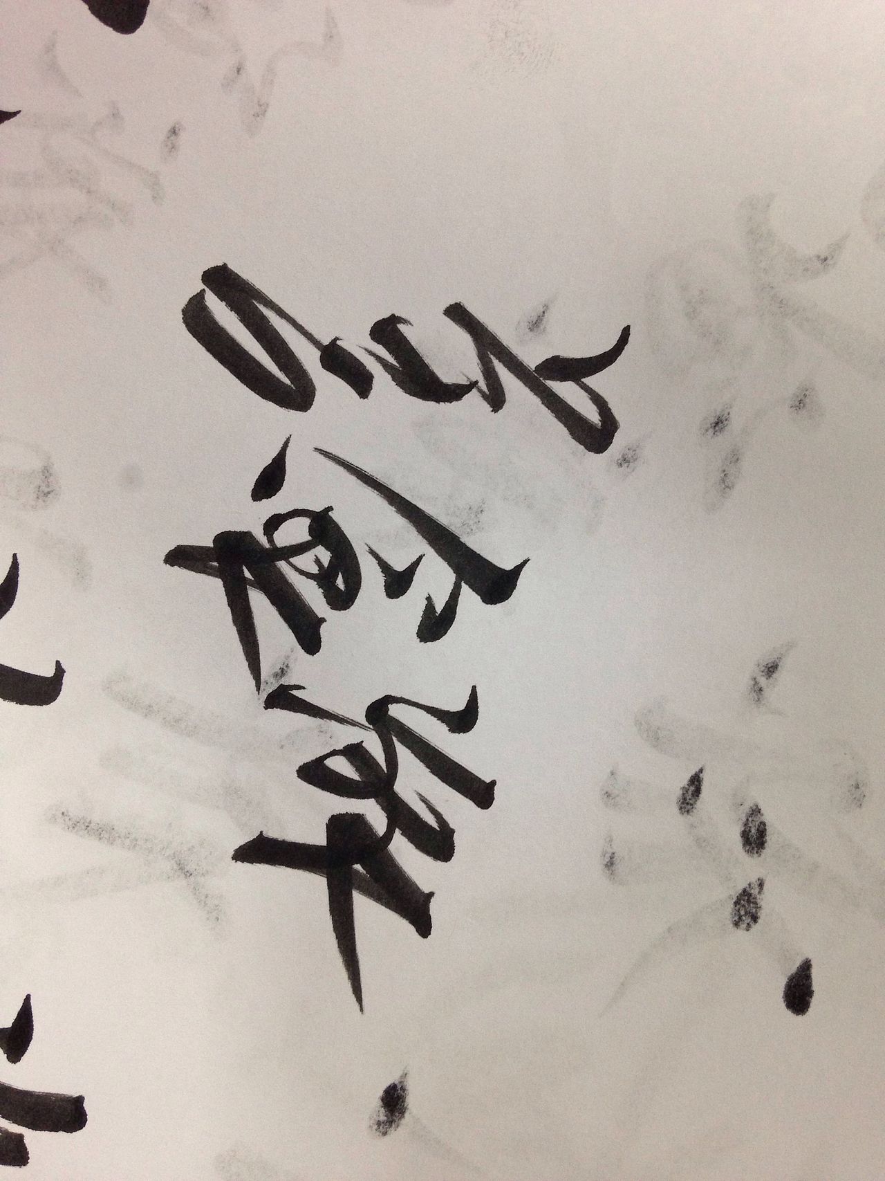 2015浙江省房博会 绿城 展位主画面