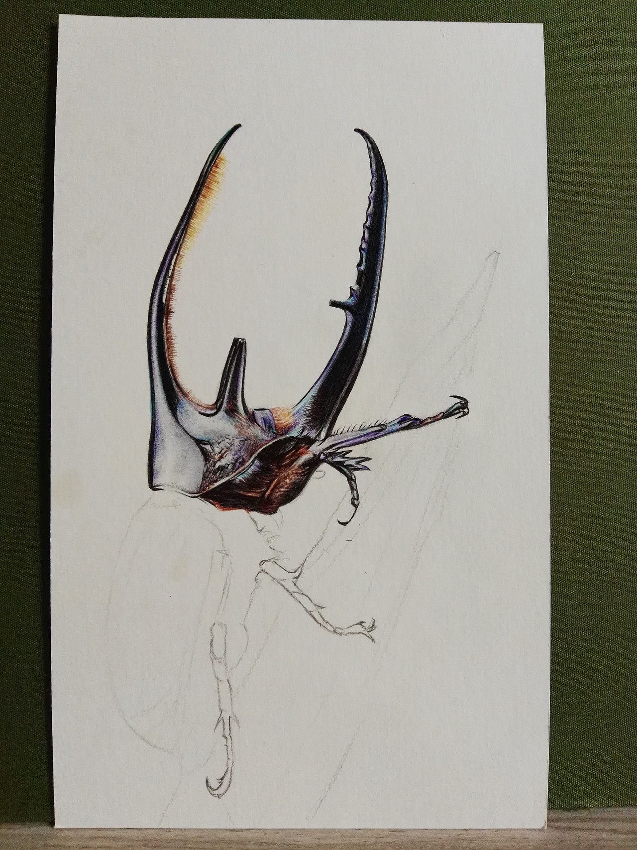 大画伤身小画怡情屎壳郎的春天