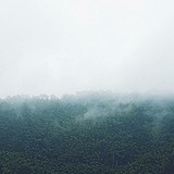 肥橙不肥的头像
