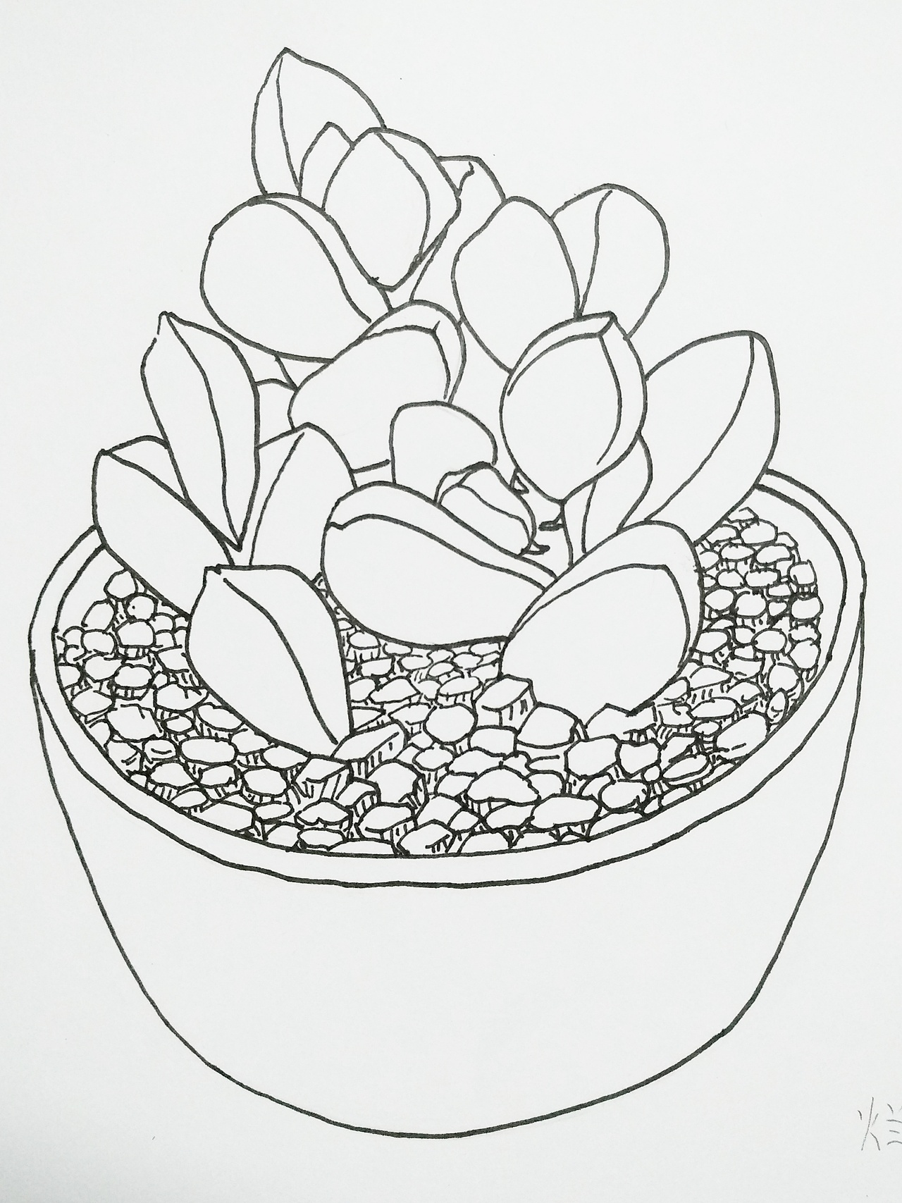 手绘涂鸦线条画