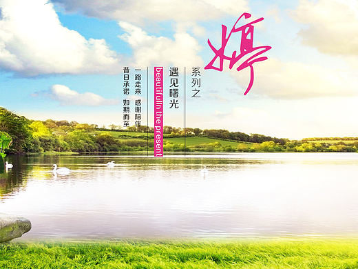 素婷  绿色减肥代餐产品
