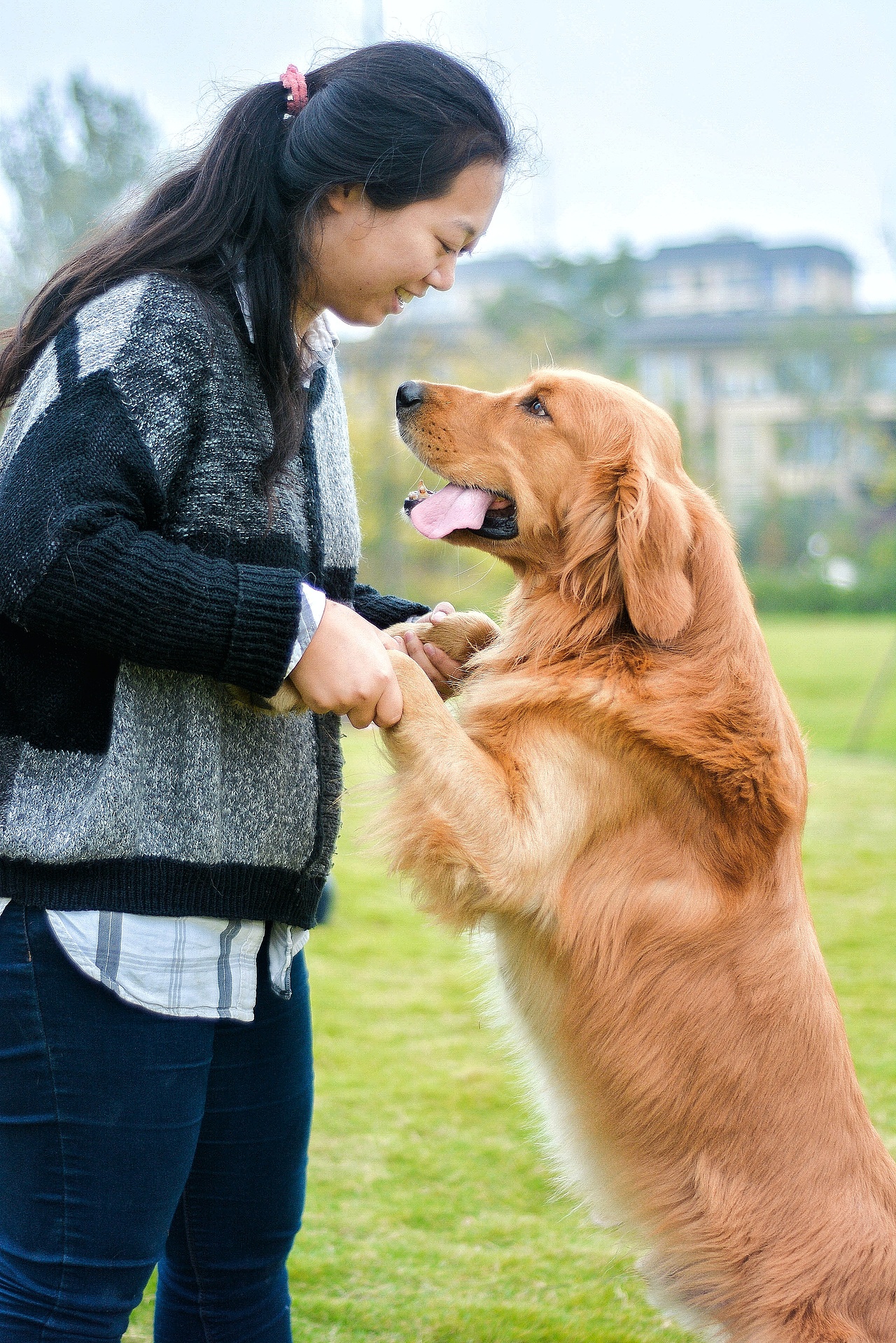 可能就只是一个宠物它对于你来说成都/摄影师/3年前/313浏览小麦大米